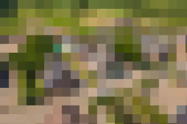 Prinses Julianaweg 6 Geldermalsen thumbnail 69