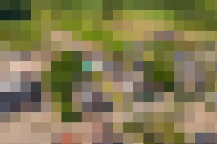 Prinses Julianaweg 6 Geldermalsen thumbnail 70