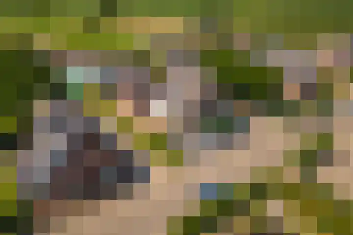 Prinses Julianaweg 6 Geldermalsen thumbnail 71