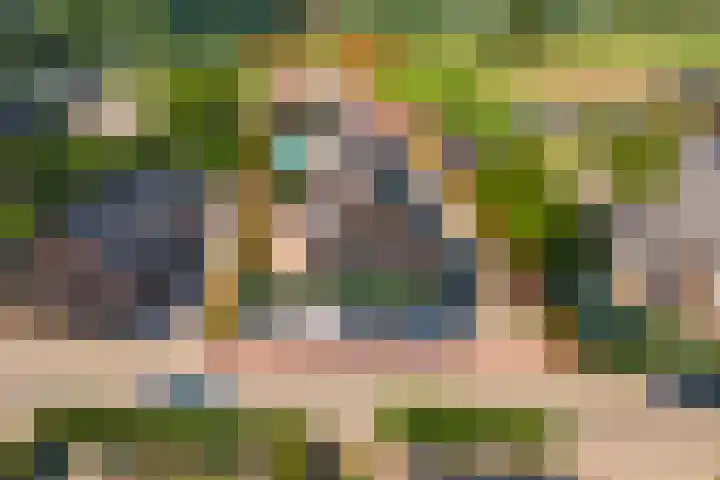 Prinses Julianaweg 6 Geldermalsen thumbnail 72