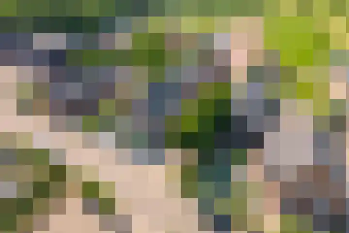 Prinses Julianaweg 6 Geldermalsen thumbnail 73