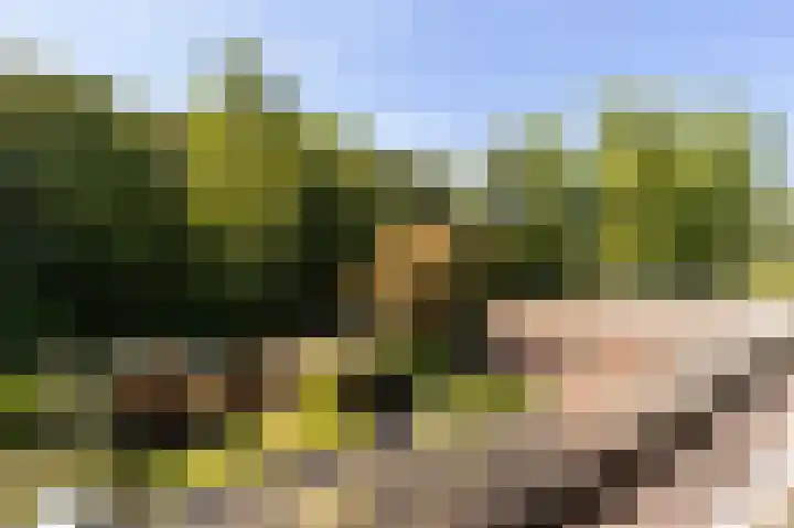 Prinses Margriethof 62 Naarden thumbnail 27