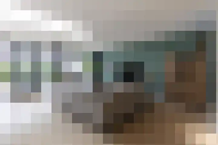 Prinses Margriethof 9 Naarden thumbnail 9