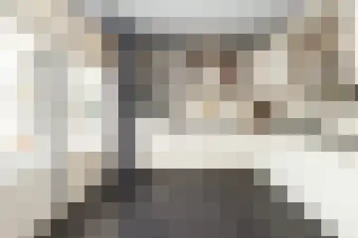 Prinses Margrietlaan 12 Oud-Alblas thumbnail 11