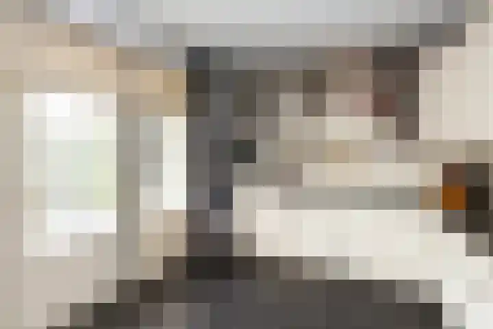 Prinses Margrietlaan 12 Oud-Alblas thumbnail 12