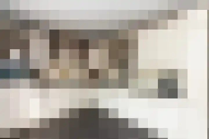 Prinses Margrietlaan 12 Oud-Alblas thumbnail 13