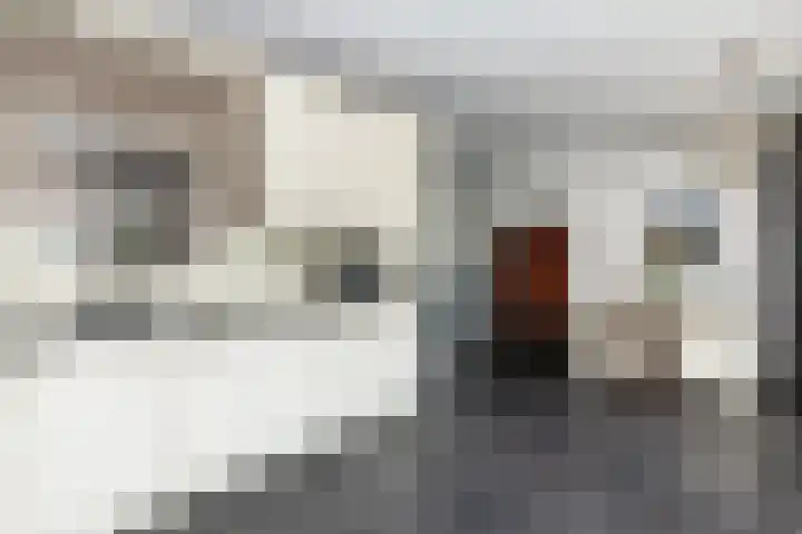 Prinses Margrietlaan 12 Oud-Alblas thumbnail 14