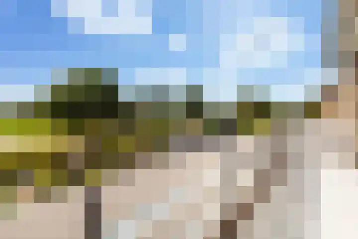 Prinses Margrietlaan 12 Oud-Alblas thumbnail 23