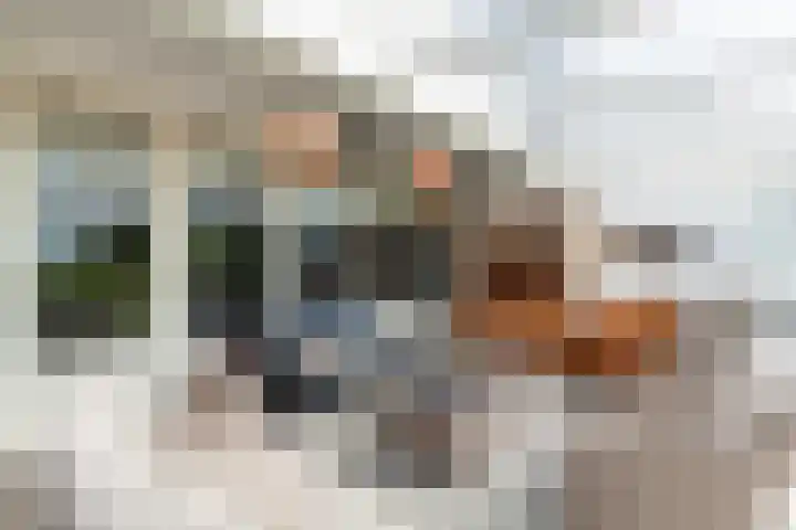Prinses Margrietlaan 12 Oud-Alblas thumbnail 34