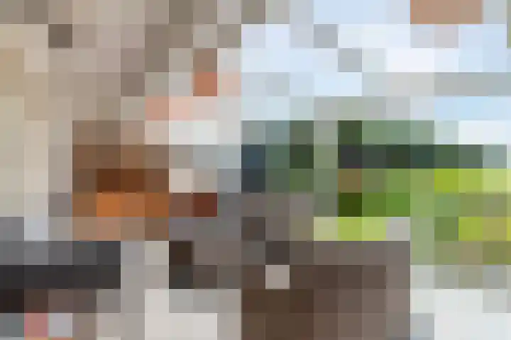 Prinses Margrietlaan 12 Oud-Alblas thumbnail 35
