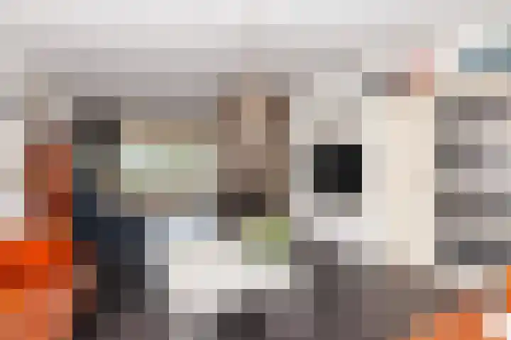 Prinses Margrietlaan 12 Oud-Alblas thumbnail 5