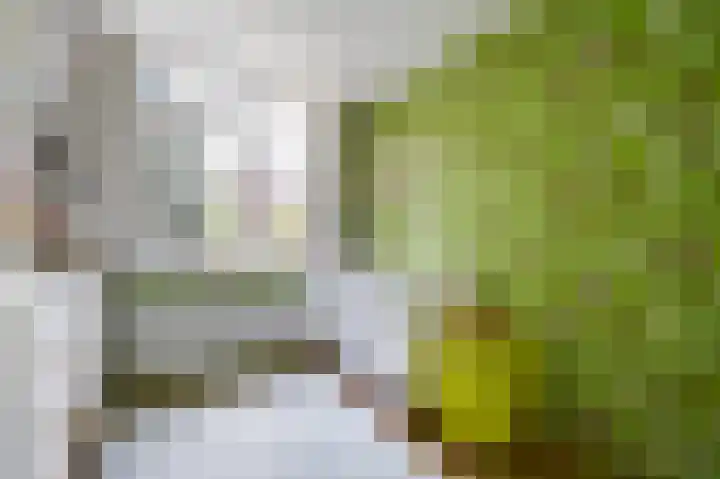 Prinses Margrietlaan 128 Voorburg thumbnail 22