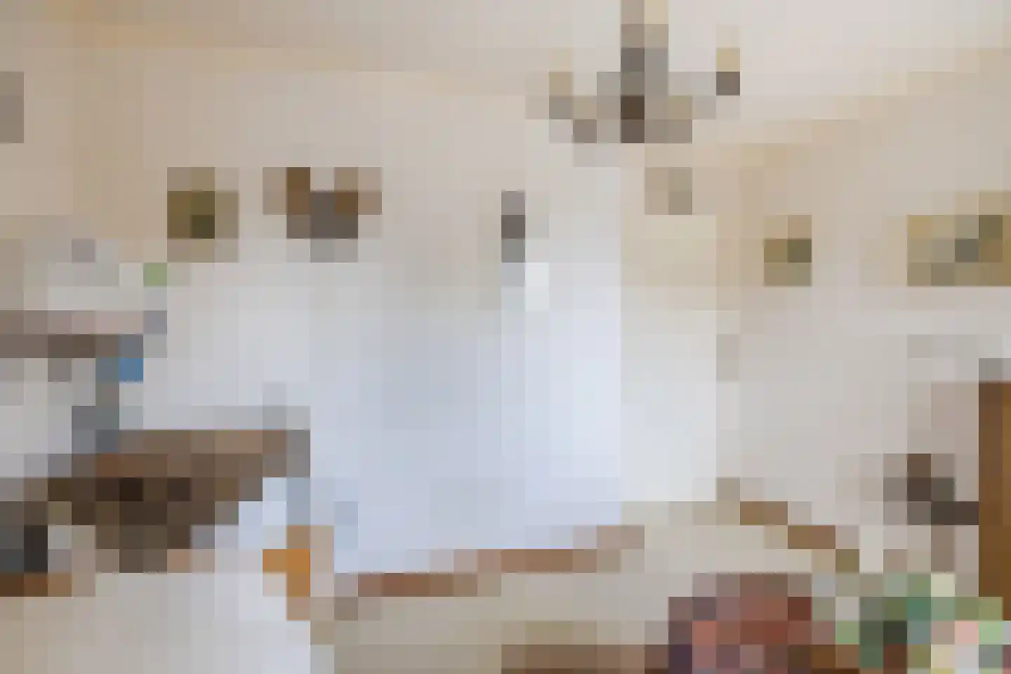 Prinses Margrietlaan 14 Koekange thumbnail 21