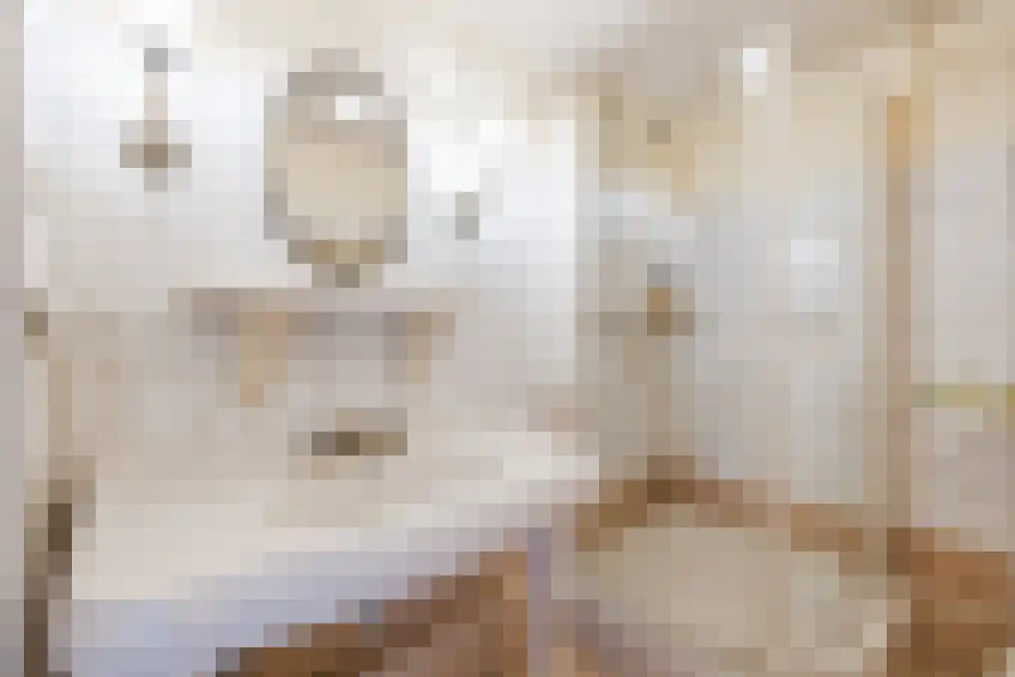 Prinses Margrietlaan 14 Koekange thumbnail 25