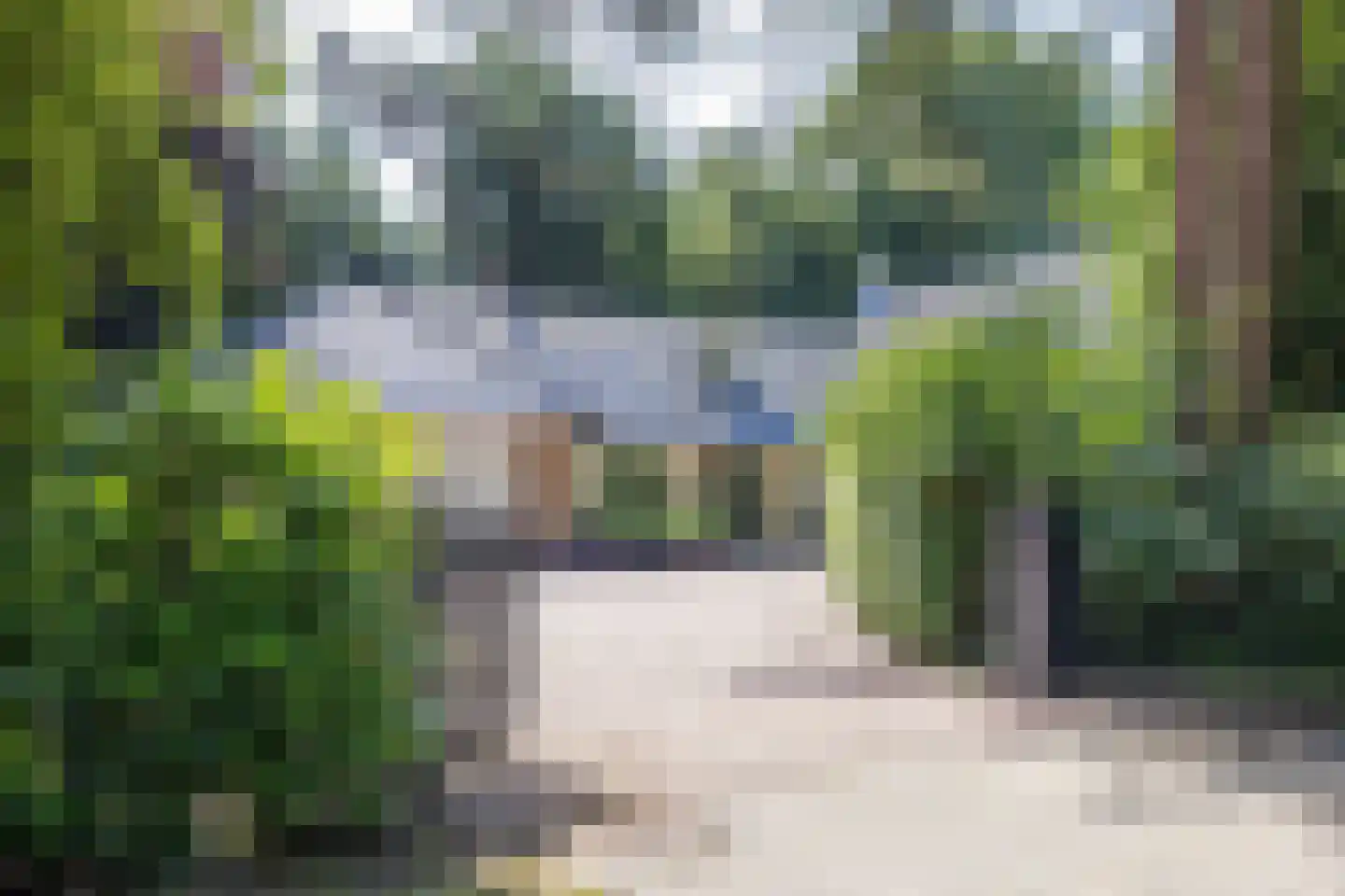 Prinses Margrietlaan 14 Wezep thumbnail 8