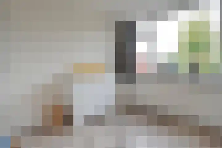 Prinses Margrietlaan 15 Slagharen thumbnail 17
