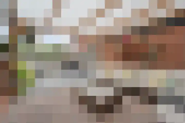 Prinses Margrietlaan 15 Slagharen thumbnail 24
