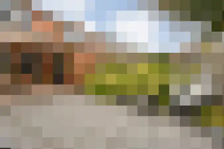 Prinses Margrietlaan 15 Slagharen thumbnail 26