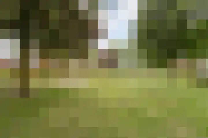 Prinses Margrietlaan 15 Slagharen thumbnail 29