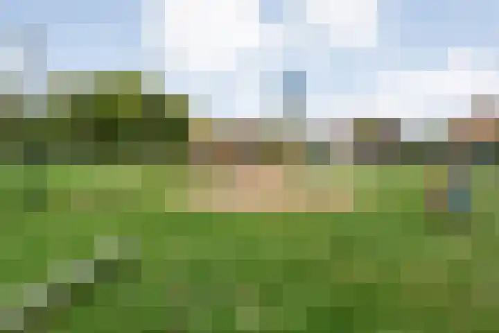 Prinses Margrietlaan 15 Slagharen thumbnail 30