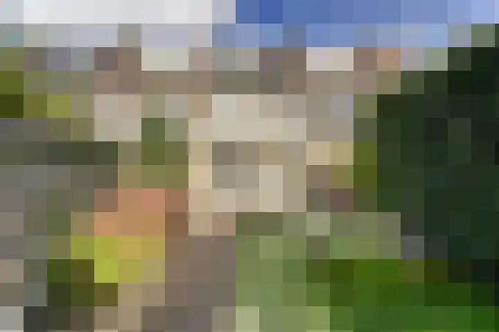 Prinses Margrietlaan 17 Voorschoten thumbnail 19