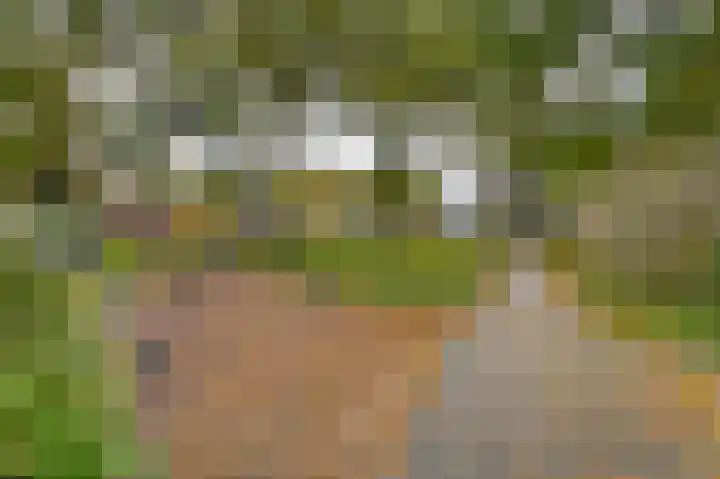 Prinses Margrietlaan 17 Voorschoten thumbnail 38