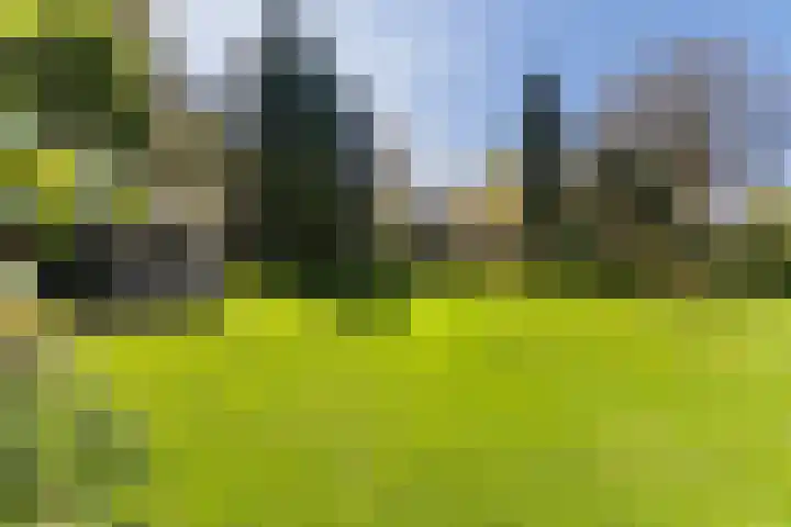 Prinses Margrietlaan 2 Berg en Dal thumbnail 13