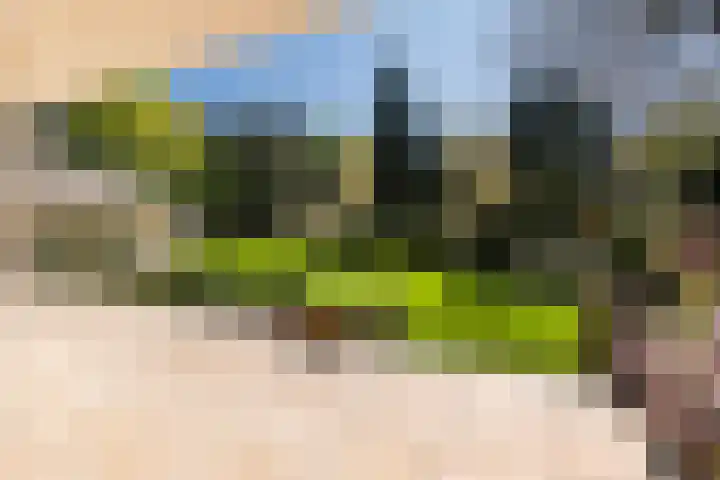Prinses Margrietlaan 2 Berg en Dal thumbnail 17
