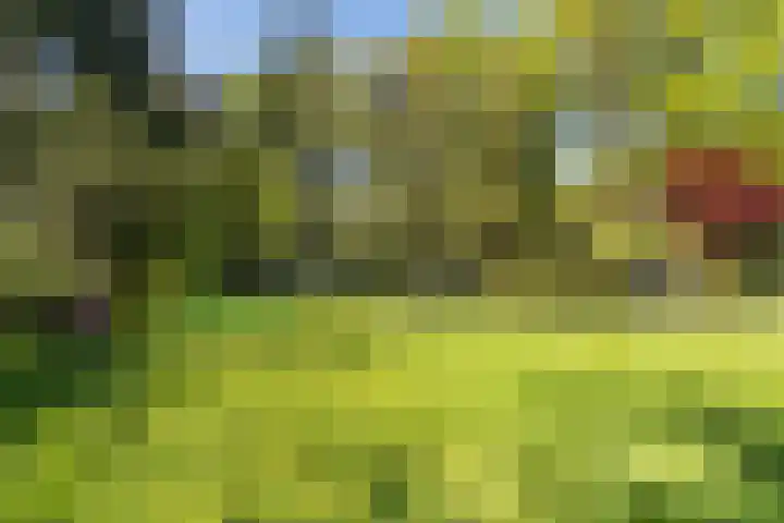 Prinses Margrietlaan 2 Berg en Dal thumbnail 18