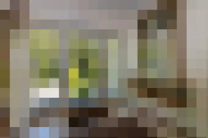 Prinses Margrietlaan 2 Berg en Dal thumbnail 44