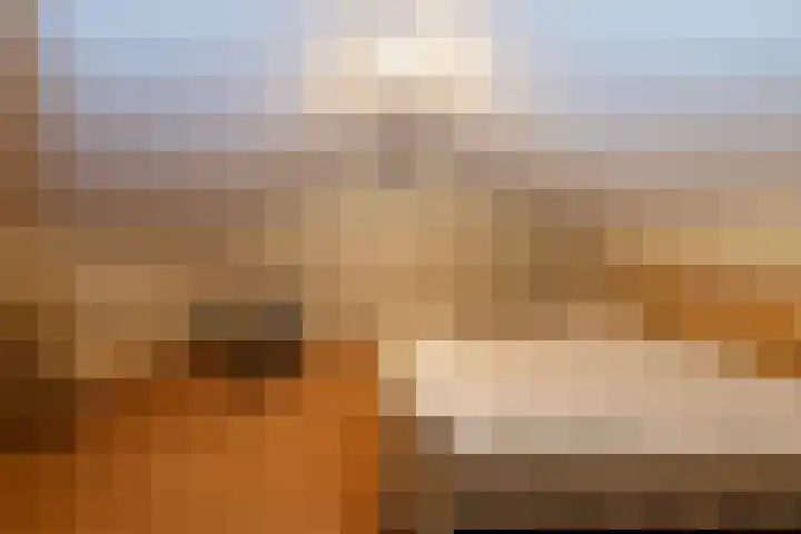 Prinses Margrietlaan 2 Berg en Dal thumbnail 56