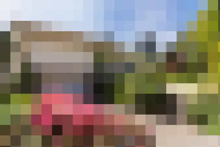 Prinses Margrietlaan 2 Berg en Dal thumbnail 8