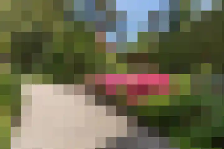 Prinses Margrietlaan 2 Berg en Dal thumbnail 80
