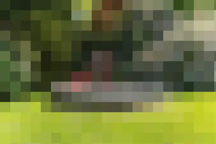 Prinses Margrietlaan 2 Berg en Dal thumbnail 81
