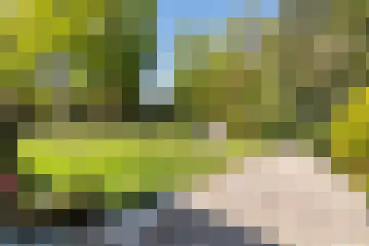 Prinses Margrietlaan 2 Berg en Dal thumbnail 82