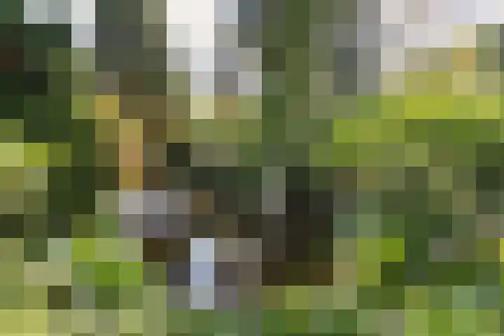 Prinses Margrietlaan 2 Berg en Dal thumbnail 84