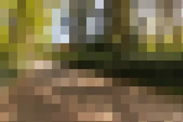Prinses Margrietlaan 2 Berg en Dal thumbnail 86