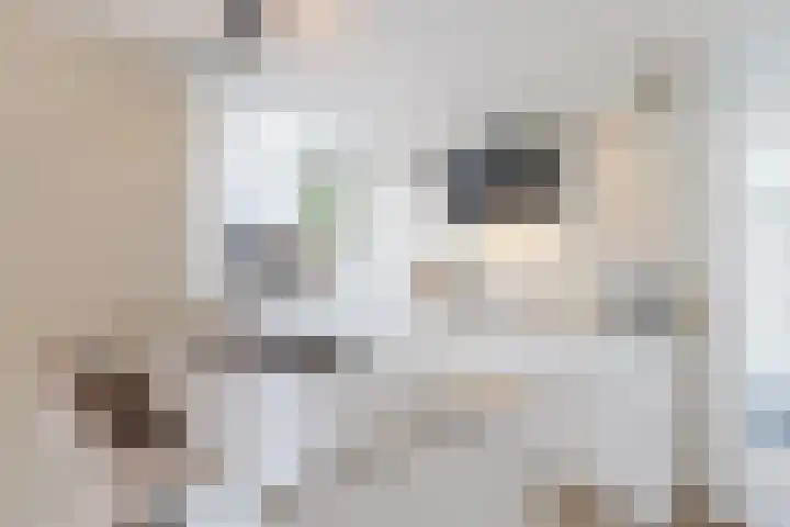 Prinses Margrietlaan 2 Lochem thumbnail 10