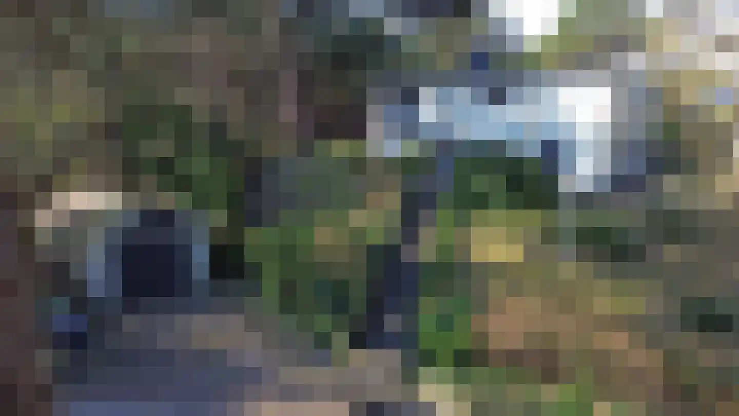 Prinses Margrietlaan 2 West-Terschelling thumbnail 39