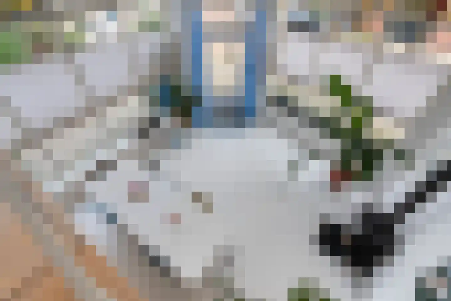 Prinses Margrietlaan 20 A Rotterdam thumbnail 30