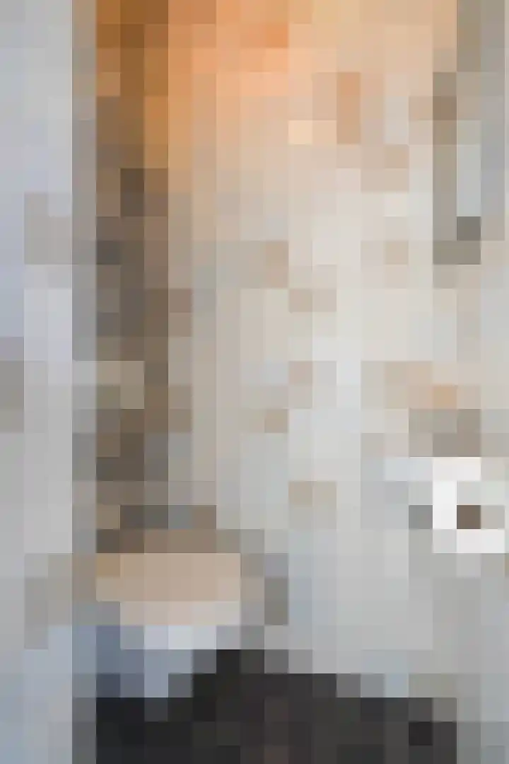 Prinses Margrietlaan 20 Maasland thumbnail 19