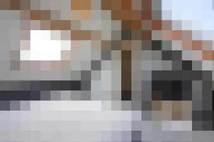 Prinses Margrietlaan 20 Maasland thumbnail 51