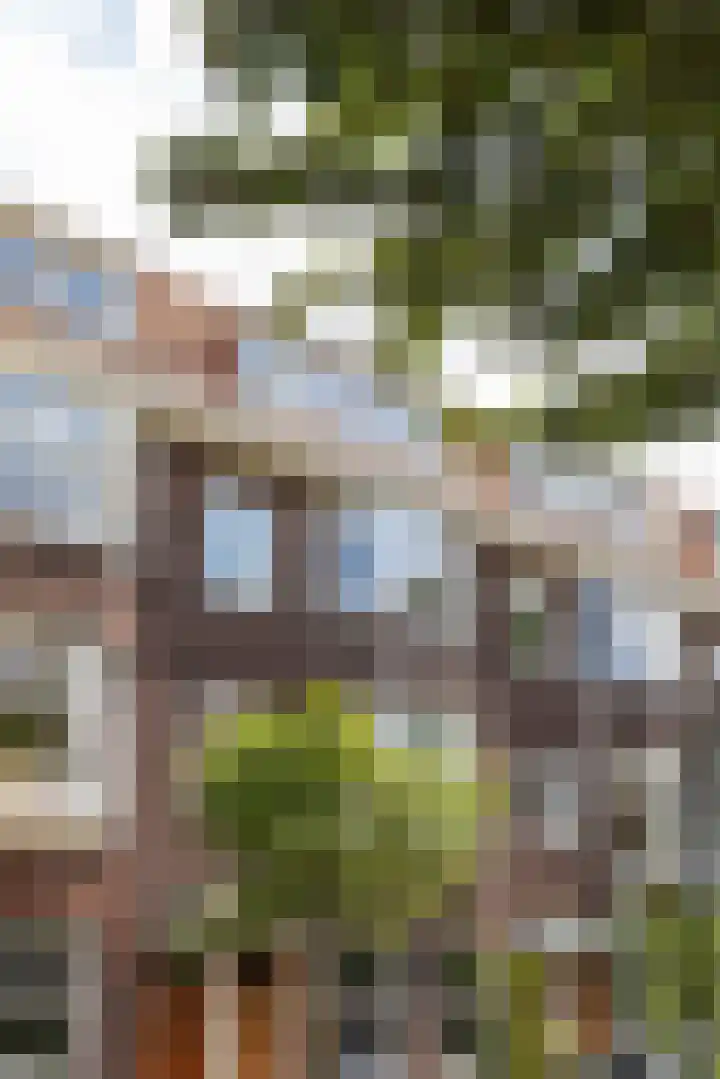 Prinses Margrietlaan 27 B Rotterdam thumbnail 30