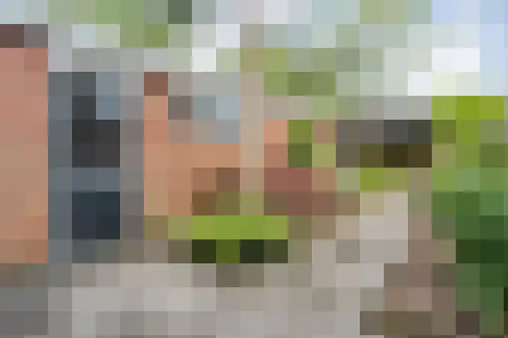 Prinses Margrietlaan 28 Slagharen thumbnail 22