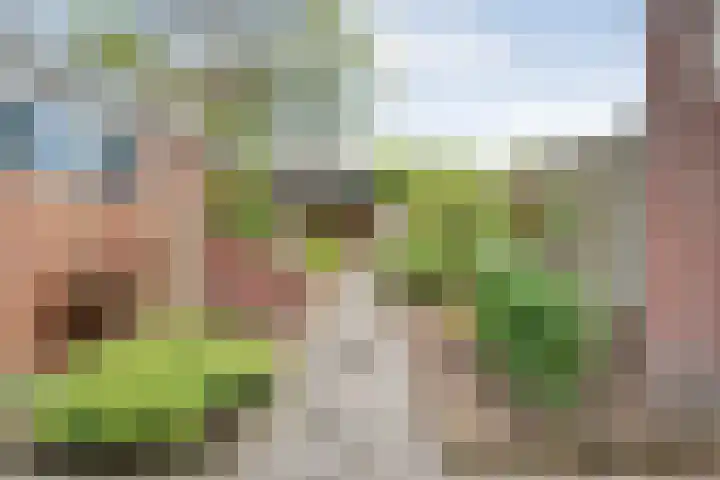 Prinses Margrietlaan 28 Slagharen thumbnail 23
