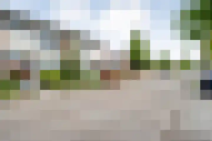 Prinses Margrietlaan 28 Slagharen thumbnail 27