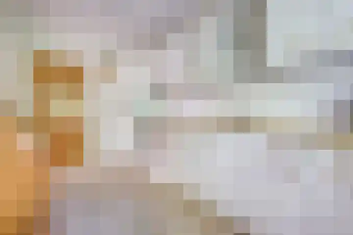 Prinses Margrietlaan 36 Angerlo thumbnail 12