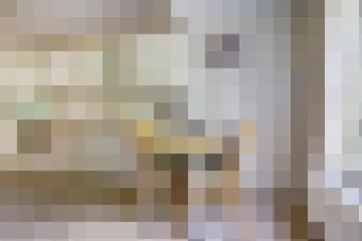 Prinses Margrietlaan 36 Angerlo thumbnail 15