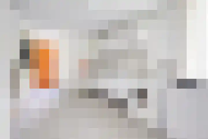 Prinses Margrietlaan 36 Angerlo thumbnail 18