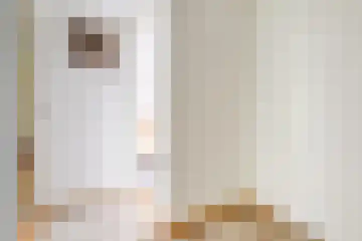 Prinses Margrietlaan 36 Angerlo thumbnail 28